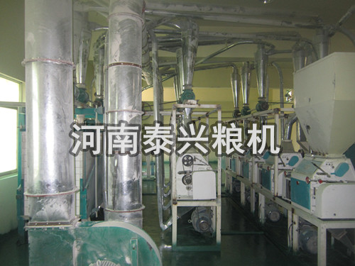 西藏40噸青稞面設備